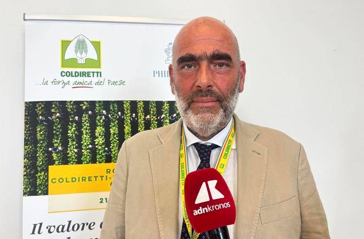 Tabacco, Bellelli (Coldiretti Campania): "Accordi di filiera fondamentali per redditività, ambiente e giovani agricoltori’