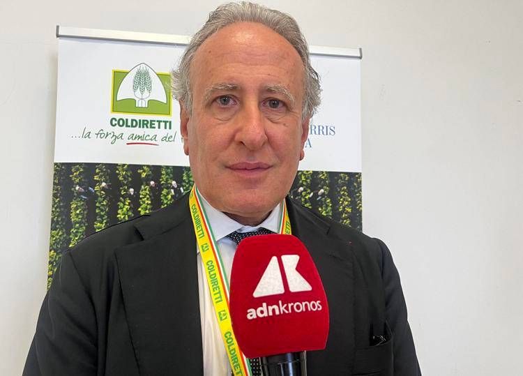 Tabacco, Lorito (Federico II): "La filiera integrata è la chiave per i territori, i giovani e il rilancio dell'agricoltura"