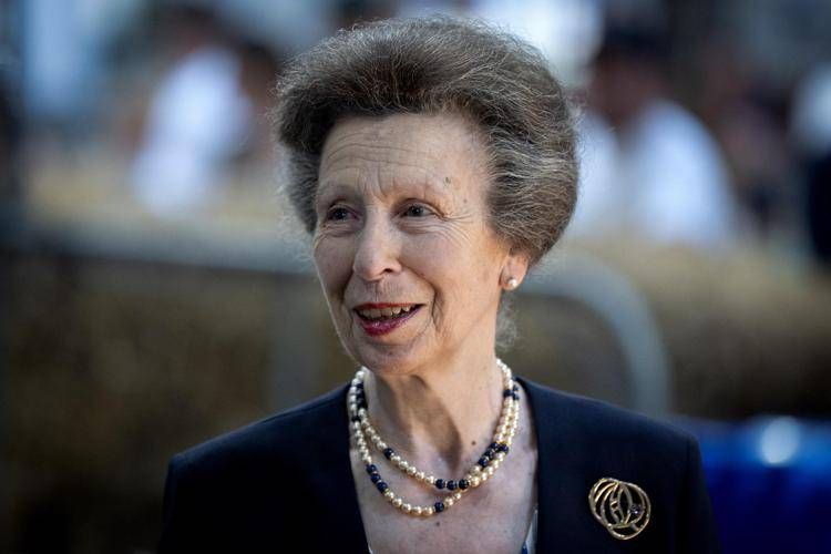 Carlo, William e la frattura con Harry: l'aiuto della 'spare' Anna per ricucire i rapporti?