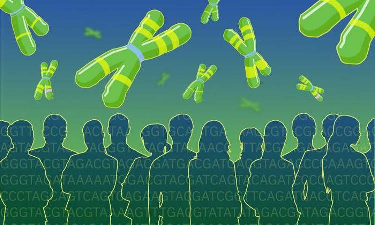 Verso il pangenoma umano, pronta la mappa più completa di geni e varianti