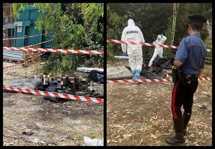 Il ritrovamento, foto Adnkronos