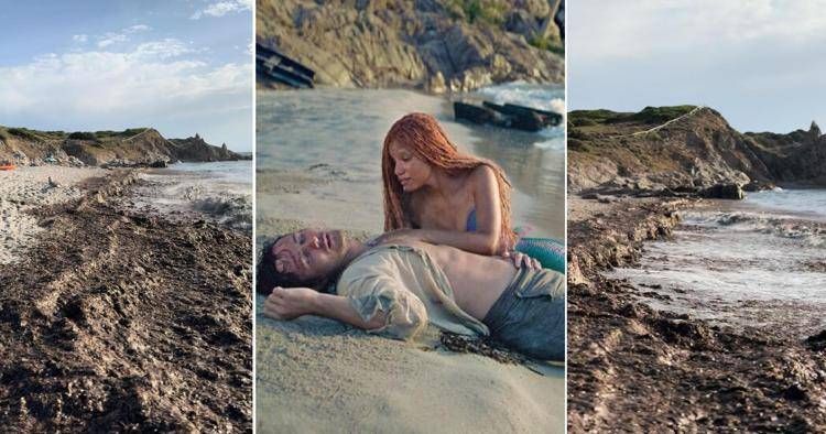 Rena Majore, le alghe inghiottono la spiaggia de 'La Sirenetta': è polemica
