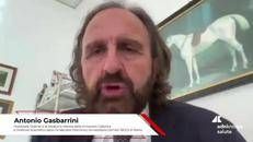 Giornata mondiale epatiti, Gasbarrini (Cattolica): 