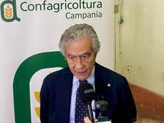 Fabrizio Marzano, presidente di Confagricoltura Campania