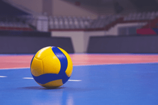 Pallavolo, Assopallavolisti: 