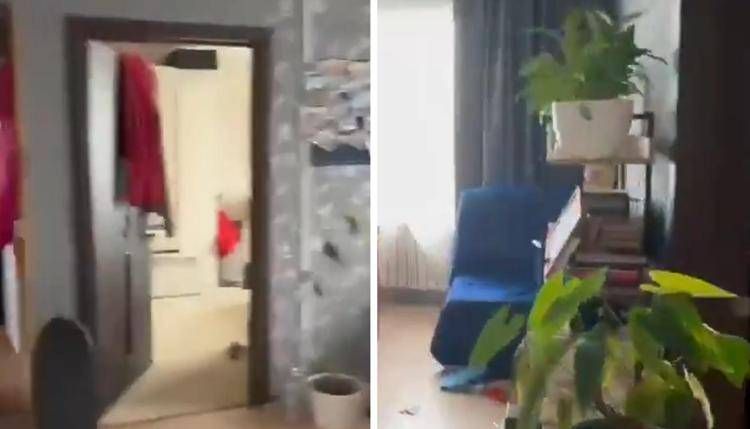 Terremoto oggi da Kamkatchka a Giappone, la casa trema per un minuto