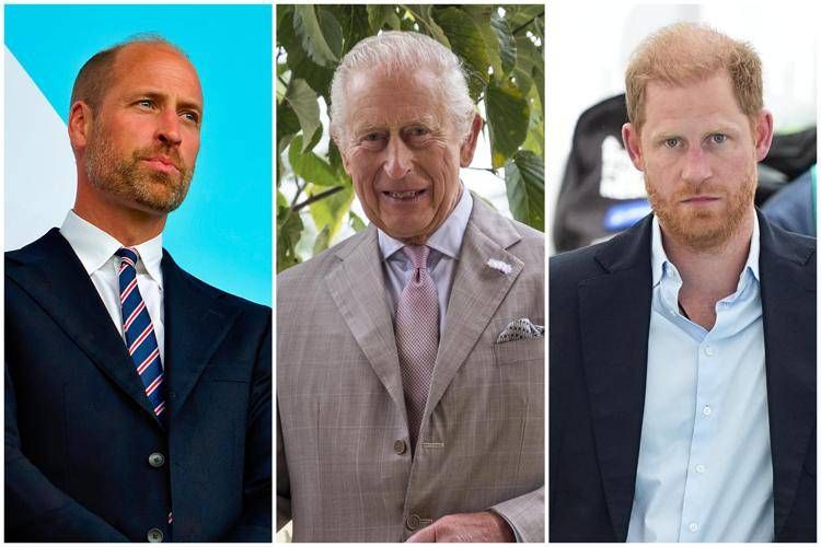 Pace fra William, Harry e Carlo? Interviene il sensitivo: "Non prima di otto anni"