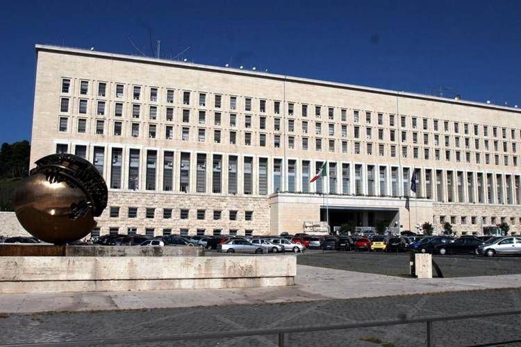 Carlo D'Attanasio è liberato in Papua Nuova Guinea, Tajani: "Assolto da accuse"