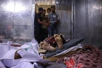 Gaza, 