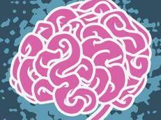 Disegno del cervello (Foto )