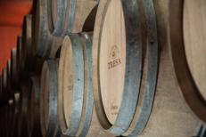 Vino: con Santa Tresa torna in etichetta il vitigno siciliano 'scomparso' Orisi