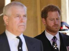 Principe Andrea e Harry (Fotogramma/Ipa)