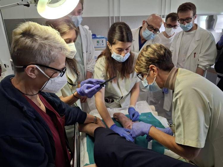 Virus naturali contro superbatteri resistenti, terapia fagica al Sacco di Milano