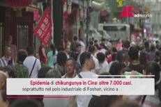 Chikungunya, allarme in Cina: oltre 7.700 casi
