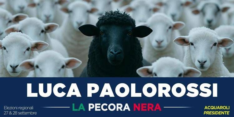 Paolorossi si candida alla Regione Marche: “Io ‘pecora nera’ che fa quello che dice”