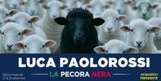 Paolorossi si candida alla Regione Marche: “Io ‘pecora nera’ che fa quello che dice”