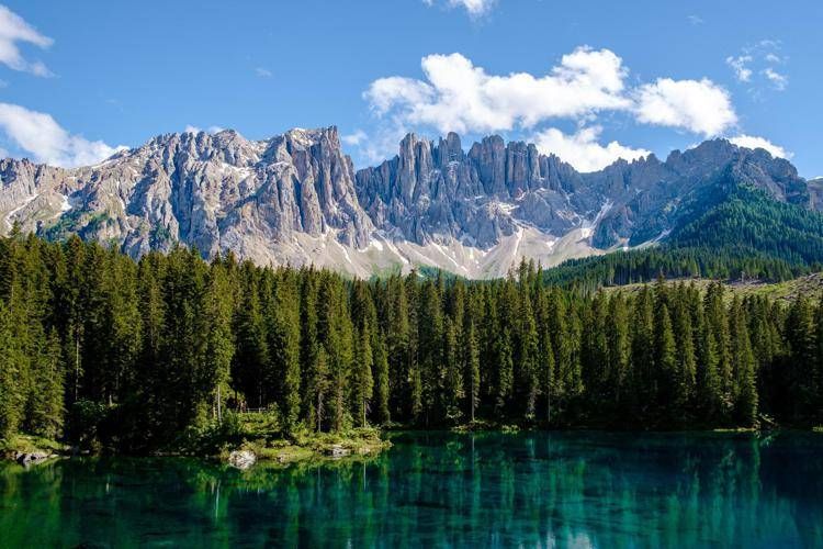 Vacanze, Anvcg: 