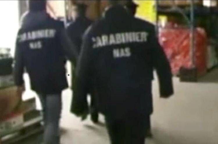 Botulino, Nas: "Conserve vegetali più a rischio, quando le aprite attenti al clic clac"