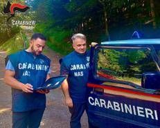 Controlli dei carabinieri dei Nas
