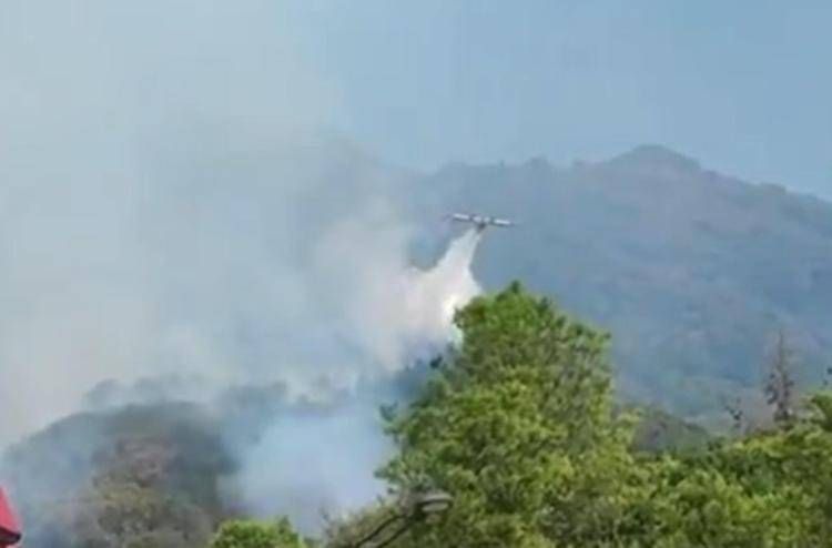 Fiamme sul Vesuvio, prefetto: "Ancora al lavoro, incendio si sta marginalizzando"