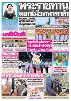 Tailandia: Aumento dei casi di dengue, il Ministero della Salute offre consigli di prevenzione