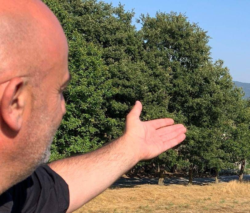 “Doğa, rahat ve iyi yemekler arasında satılan tarımlar arasında”