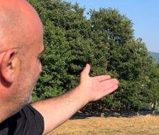 Ferragosto, Grillo (Turismo Verde-Cia): 