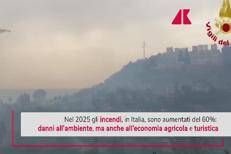 Incendi, terreni bruciati aumentati del 60%