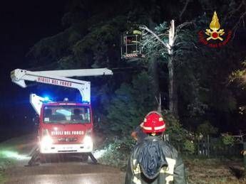 Forte temporale sulla Romagna, allagamenti e alberi cadu