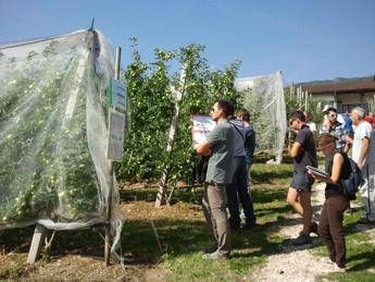 Bonus agricoltori, al via da oggi le domande: a chi spetta e come funzio