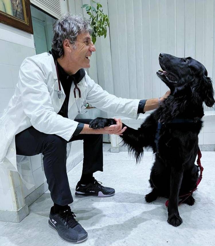Il veterinario Federico Coccia 