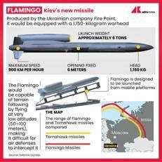 Flamingo Kiev's new missile