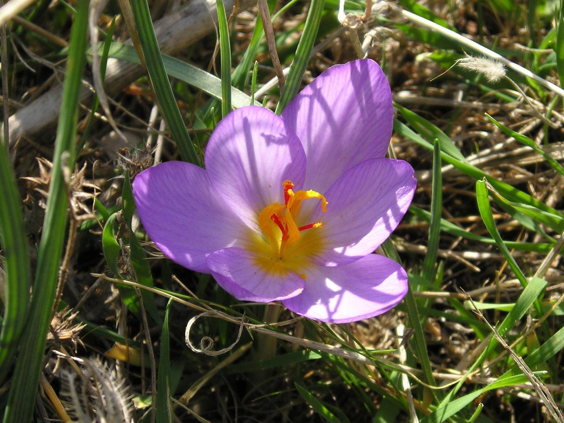 “Ekselanslı ürünü, görevler korkmuyor”
