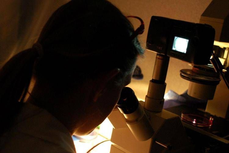 Verme mangia carne, aumentano i casi in Messico