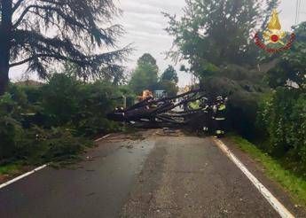Maltempo al centronord, alberi caduti e allagamenti: oltre 1300 gli interventi dei Vigili del Fuo