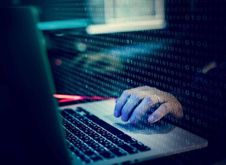 Siti sessisti, informativa inviata alla Procura di Roma. Bernardini De Pace: "Faremo class action"