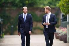William e Harry - Fotogramma/IPA