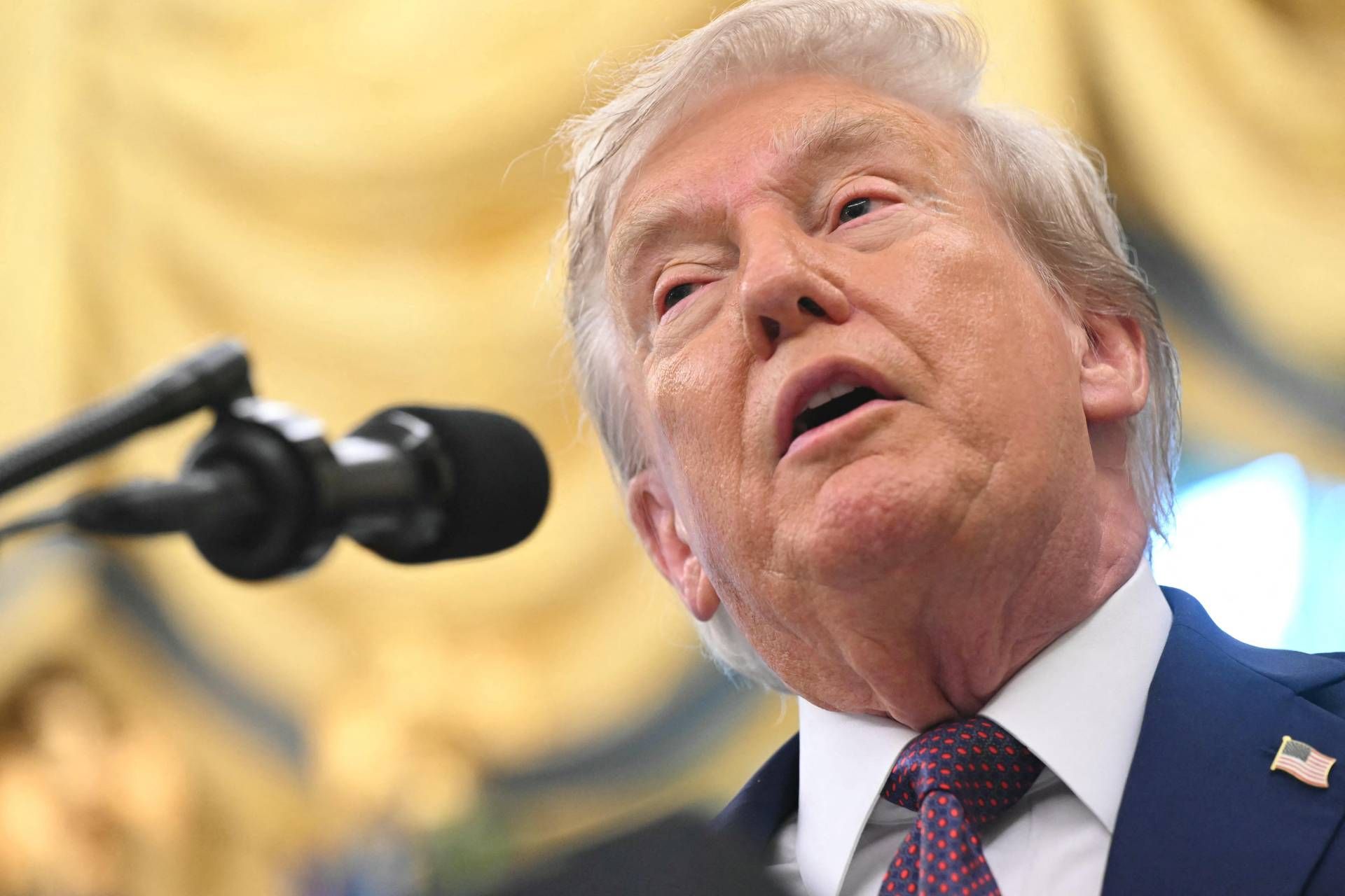トランプ、リターン（テレビで）。 「私は死んでいない、私はたくさんのことをしている」