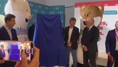 Le Torce Olimpiche di Milano-Cortina 2026 alla Mostra del Cinema - Video