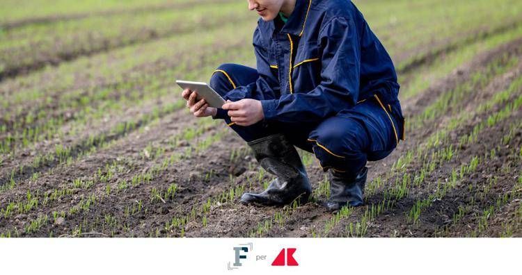 Bonus formazione per giovani agricoltori, come fare domanda? Le istruzioni