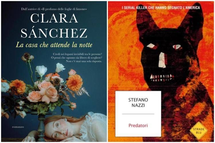 'La casa che attende la notte' e 'Predatori'