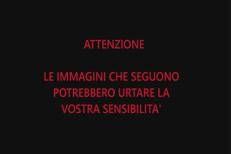 Charlie Kirk, omicidio all'università dello Utah: il momento dello sparo in un video