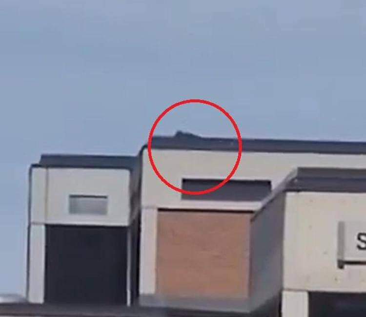 Kirk ucciso, ipotesi cecchino sul tetto: il video