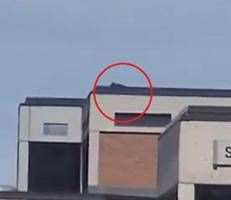 Un fermo immagine del video