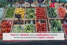 Prezzi degli alimenti tornano a crescere dopo due mesi: burro, olio e riso al top