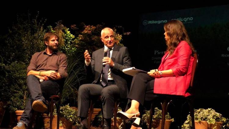 Legno, Vacchiano (uniMi): "L’attività di fotosintesi è a rischio diminuzione"