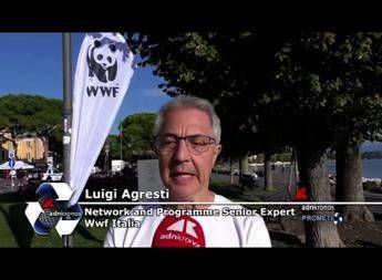 Ambiente, Agresti (Wwf): 