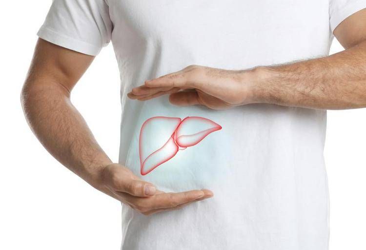 Steatosi epatica, studio dimostra efficacia nutraceutico con alghe brune
