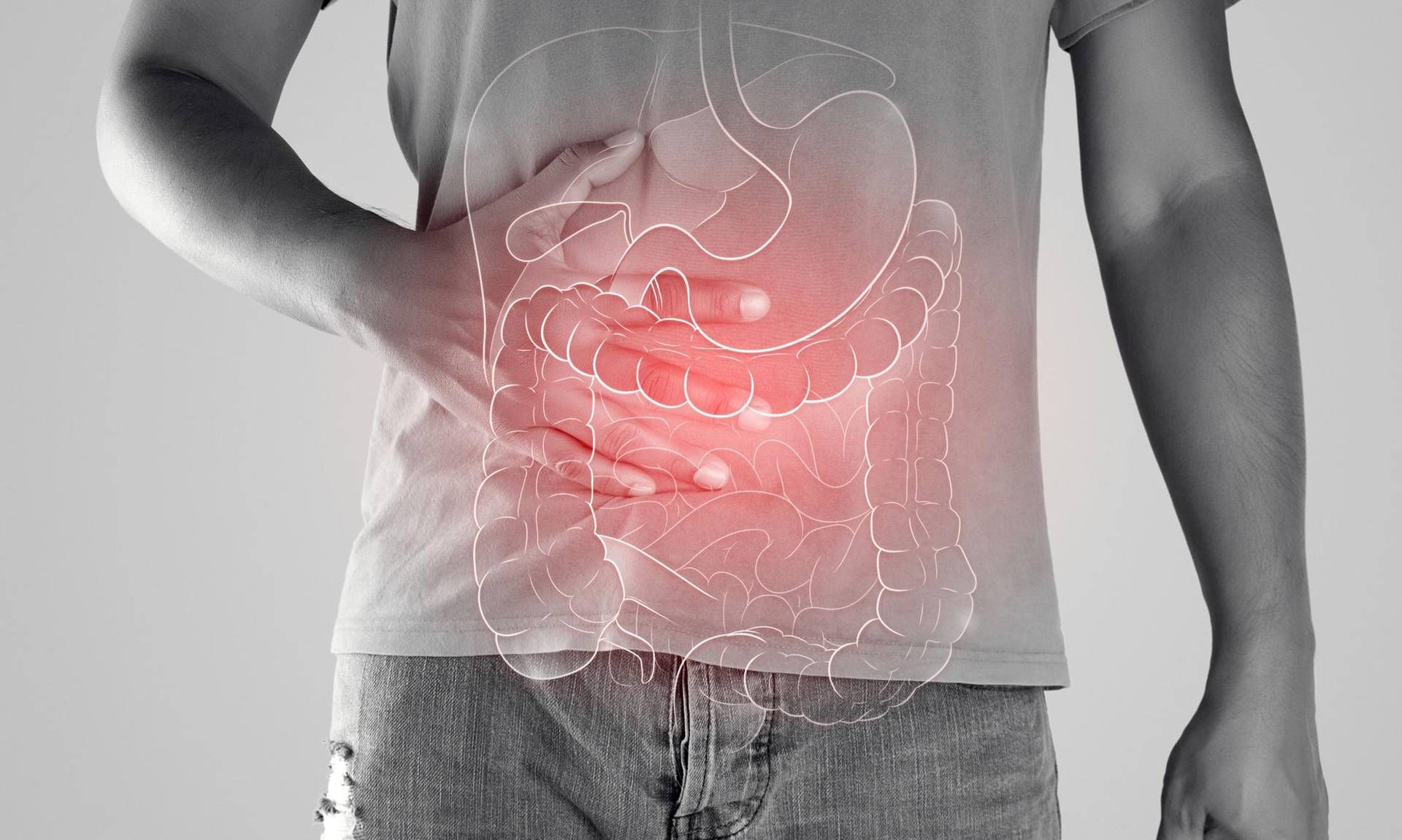Malattie infiammatorie croniche, l'indagine: '4 pazienti su 5 non ricevono consulenze nutrizionali'