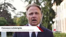 Agricoltura: Lollobrigida, 